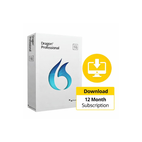 Dragon professional v16